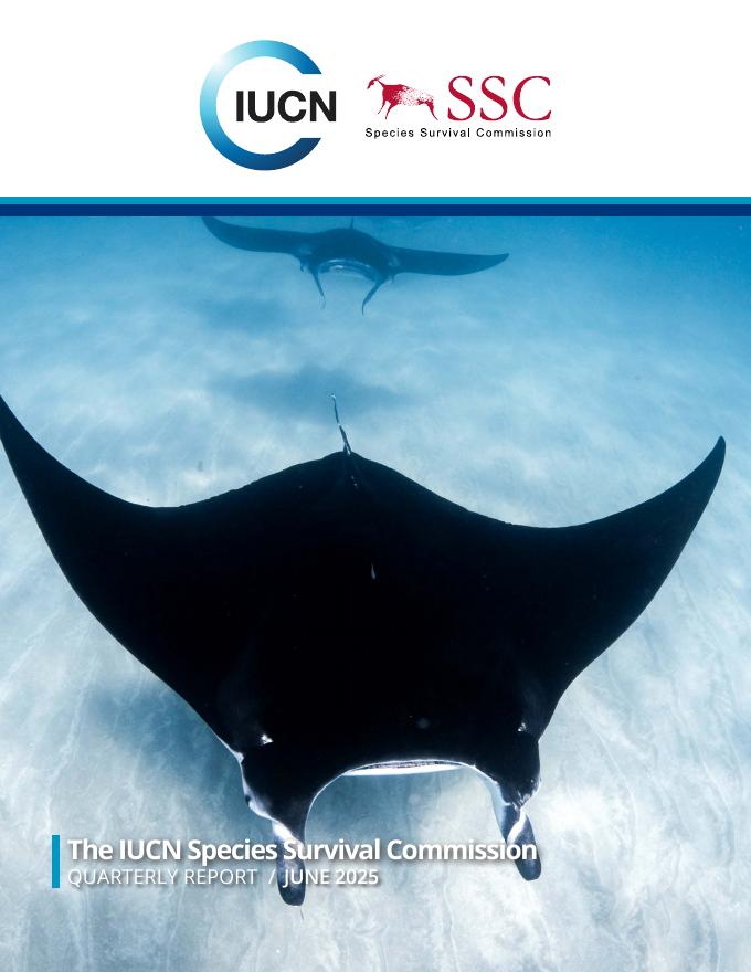 世界自然保护联盟IUCN：2025年六月季度报告（英文版）海报