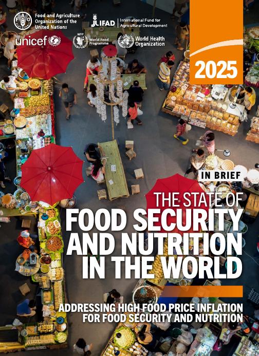 FAO联合国粮农组织：2025年世界粮食安全和营养状况报告（概要）（英文版）海报
