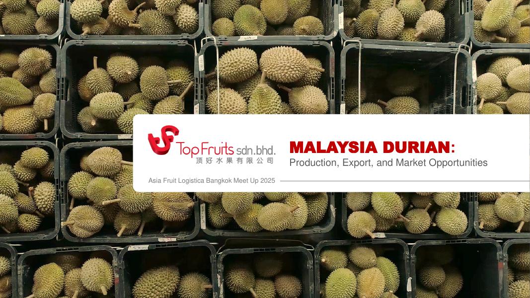 topfruits：2025年马来西亚榴莲生产出口和市场机会报告（英文版）海报