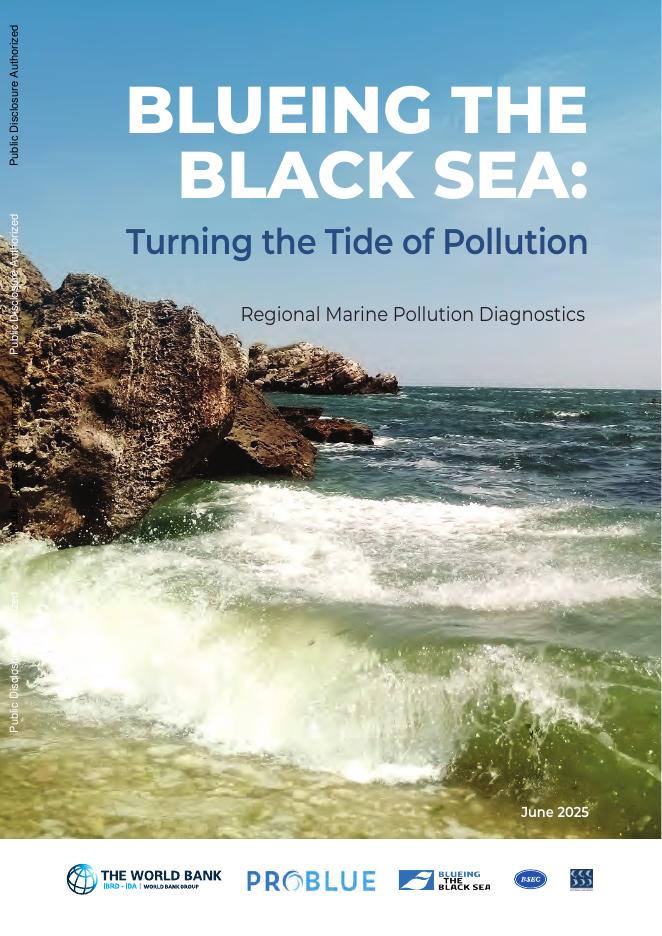 世界银行：2025年复蓝黑海：逆转污染潮：区域海洋污染诊断报告（英文版）海报