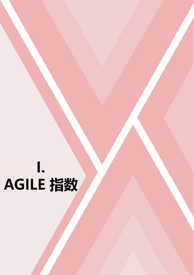 CLAI&Beijing-AISI：2025年全球人工智能治理评估指数报告_第10页
