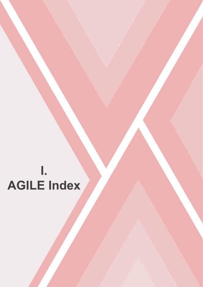 CLAI&Beijing-AISI：2025年全球人工智能治理评估指数报告（英文版）_第10页