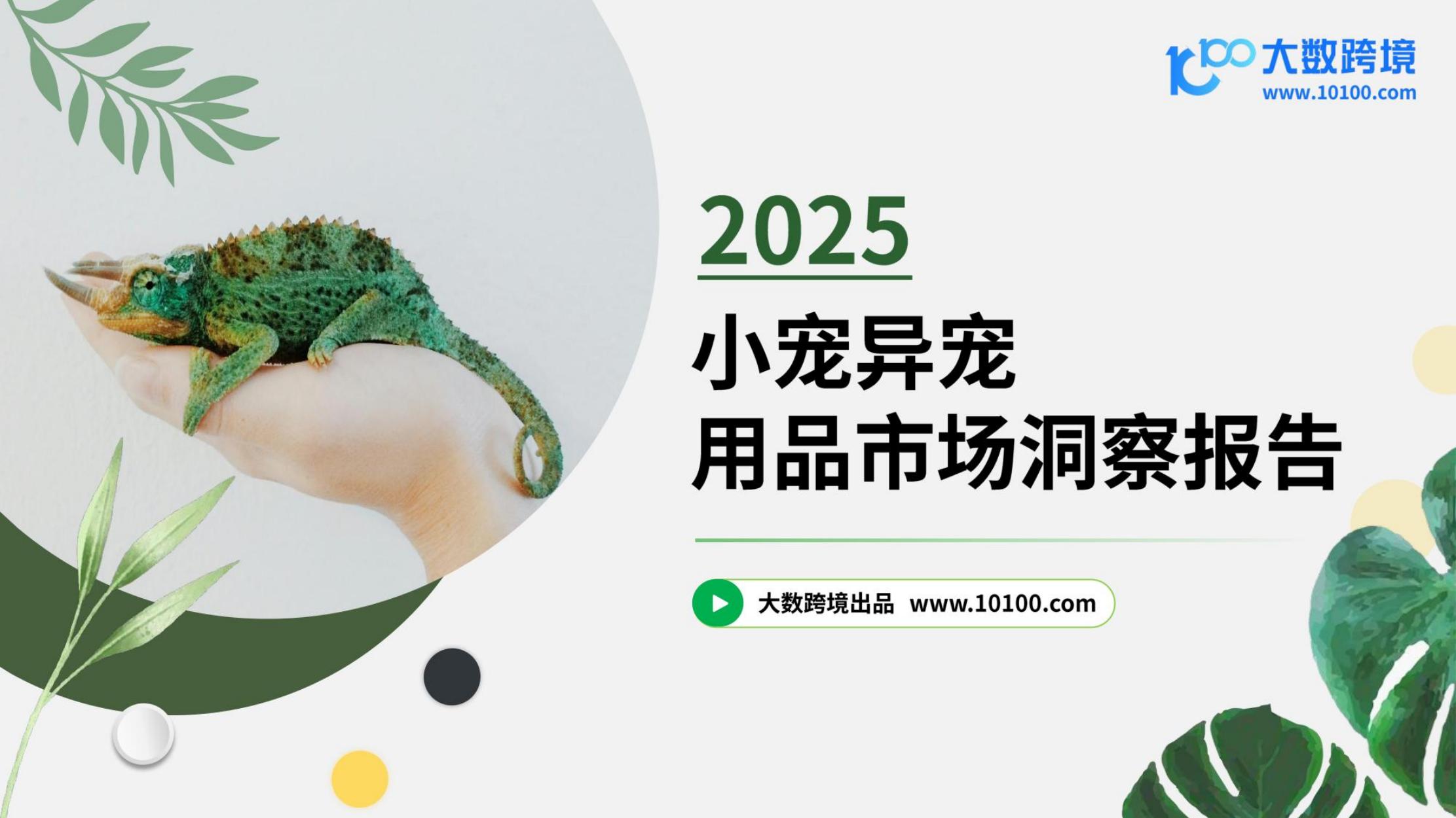 大数跨境：2025年小宠异宠用品市场洞察报告海报