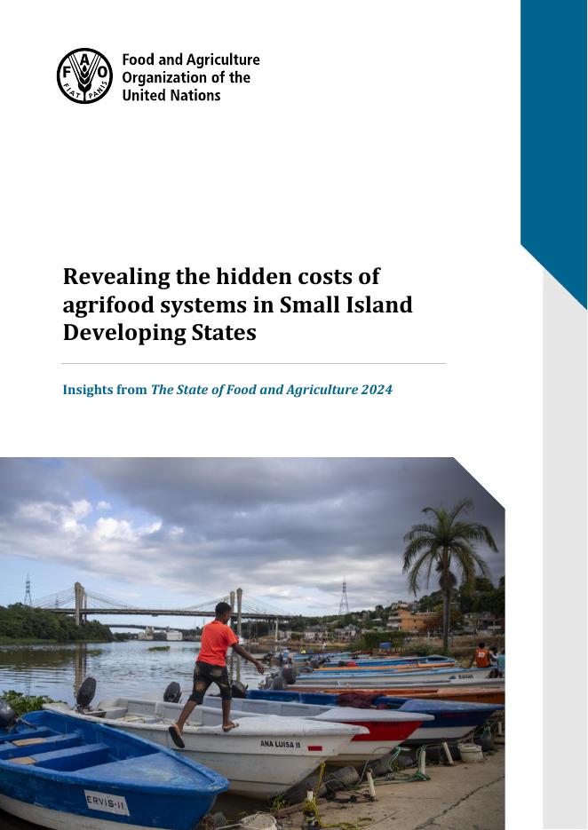 FAO联合国粮农组织：2024年揭示小岛屿发展中国家农食系统的隐藏成本报告（英文版）海报