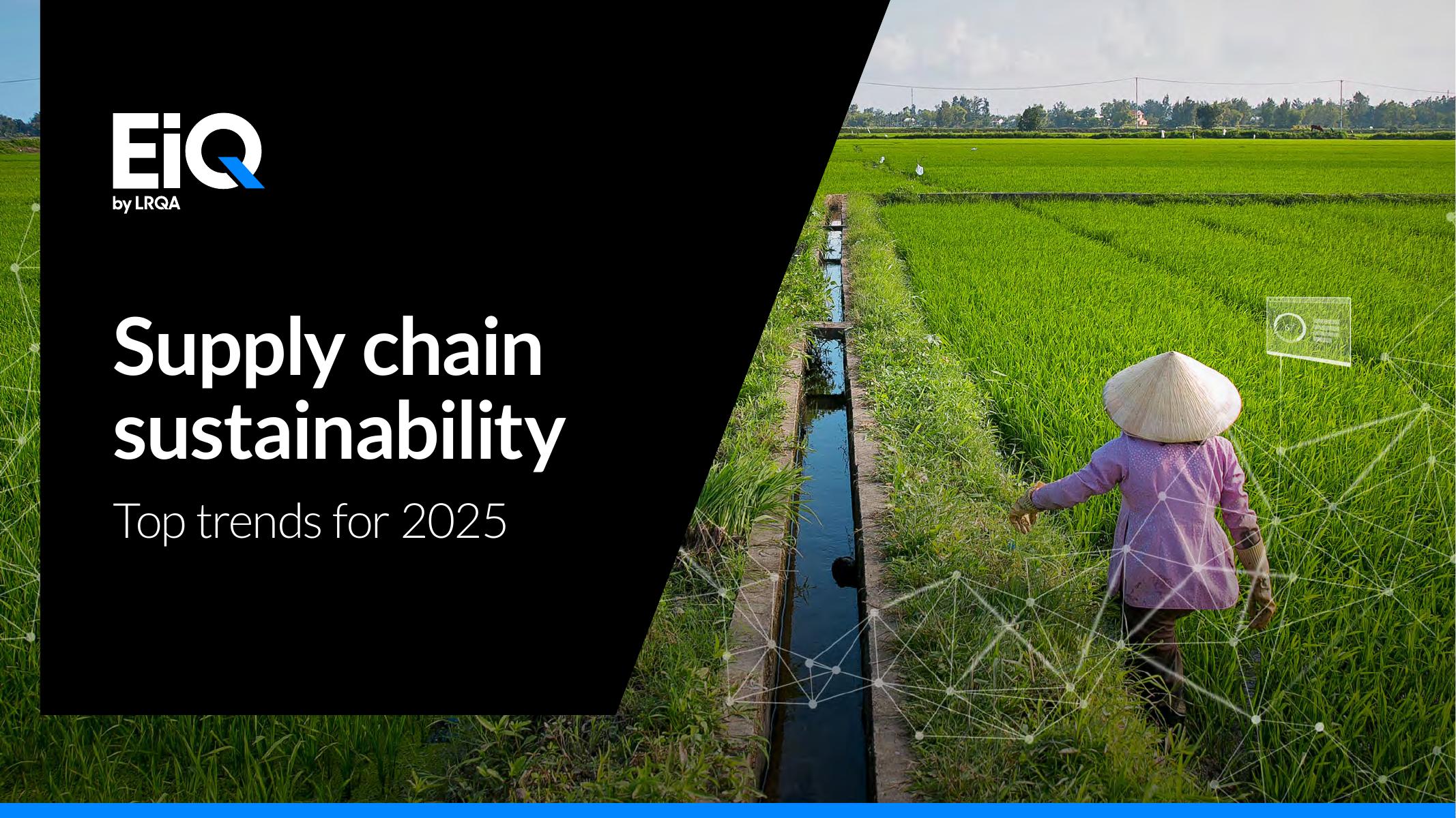 EiQ：2025年供应链可持续发展关键趋势研究报告（英文版）海报
