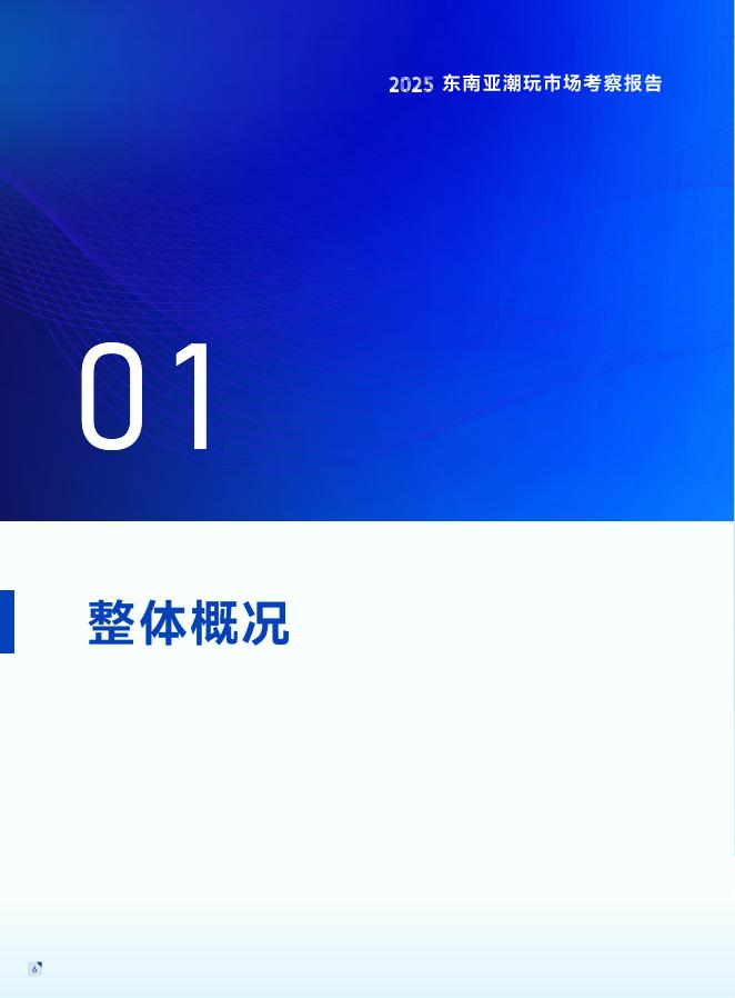 广东省玩具协会：2025年东南亚潮玩市场考察报告_第8页
