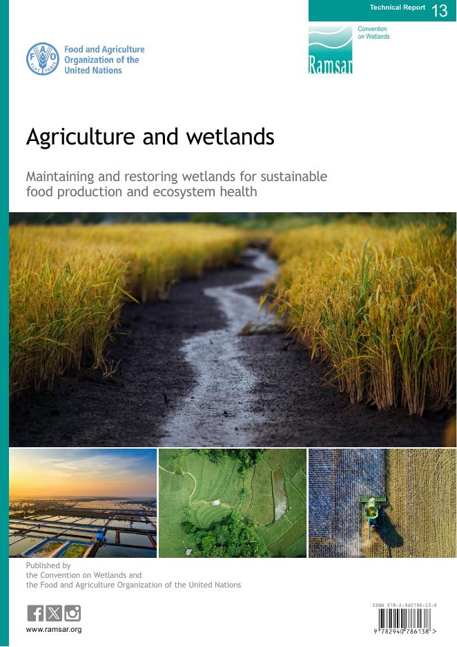 FAO联合国粮农组织：2025年农业与湿地：保持和恢复湿地以实现可持续的食物生产和生态系统健康技术报告（英文版）海报