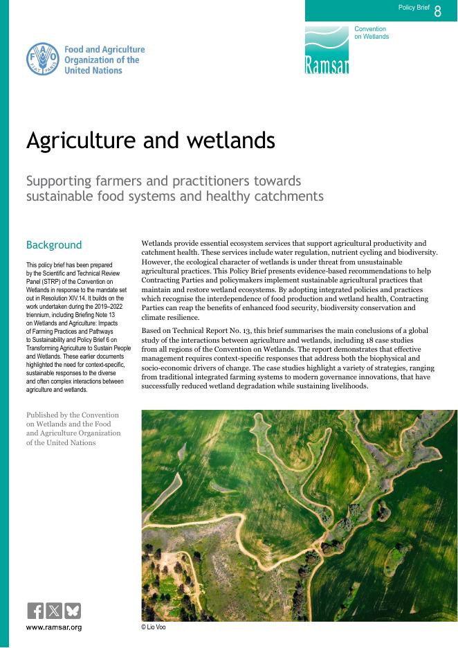 FAO联合国粮农组织：2025年农业和湿地：支持农民和实践者走向可持续的食物系统和健康的流域政策简报（英文版）海报