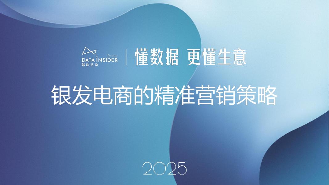 解数咨询：2025年银发电商的精准营销策略报告-第303期【试读版】海报
