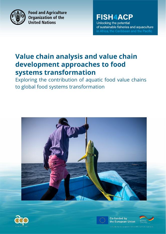 FAO联合国粮农组织：2025年价值链分析和价值链发展方法在食品系统转型中的应用报告（英文版）海报