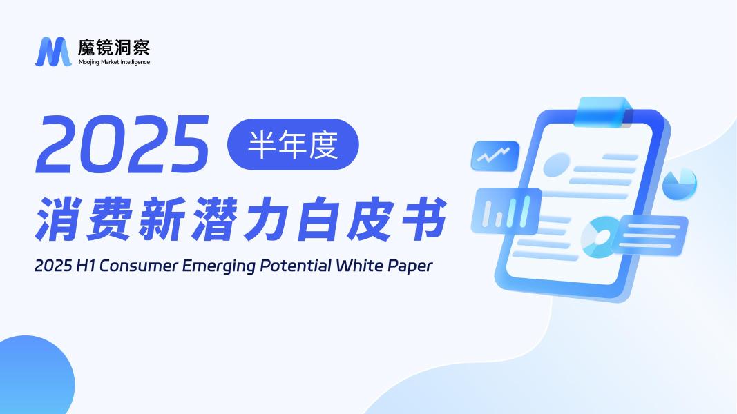 魔镜洞察：2025半年度消费新潜力白皮书