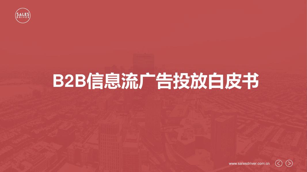 SalesDriver：2025年B2B信息流广告投放白皮书海报