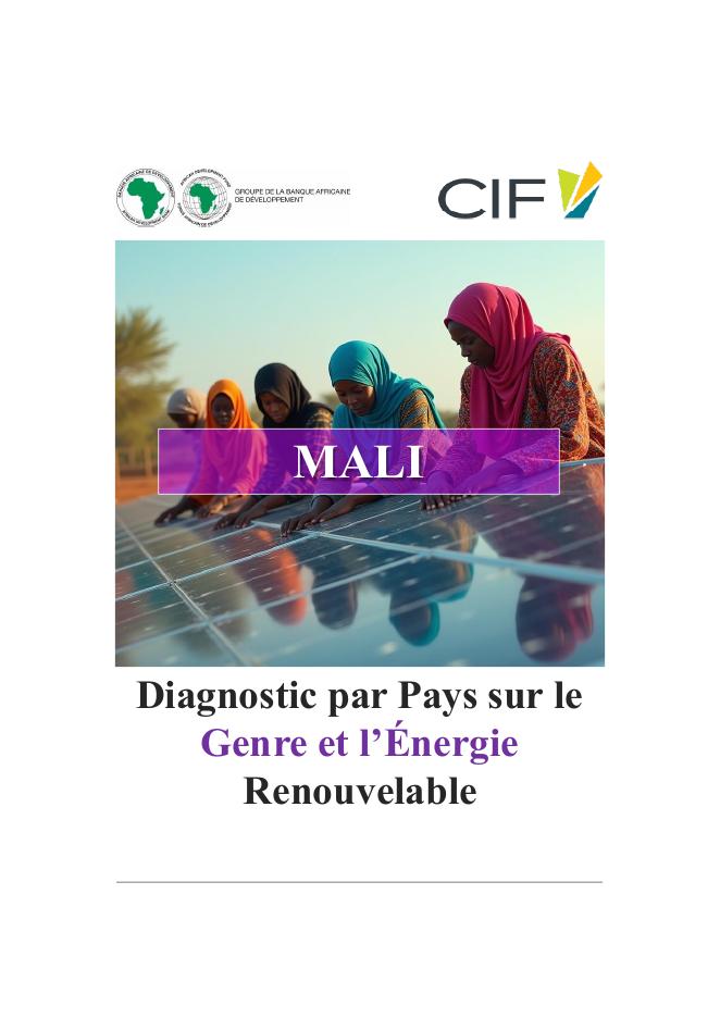 非洲开发银行（AfDB）：2025年马里国家性别与可再生能源诊断研究报告（英文版）