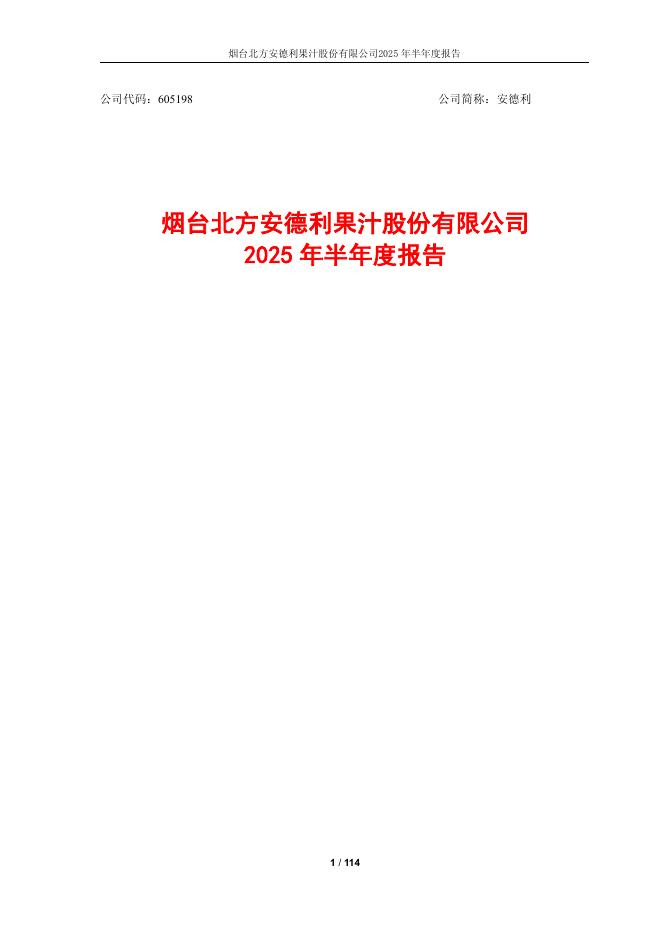 605198-安德利：2025年半年度报告