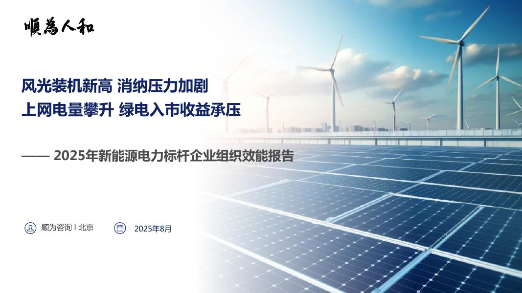 顺为咨询：2025年新能源电力标杆企业组织效能报告海报