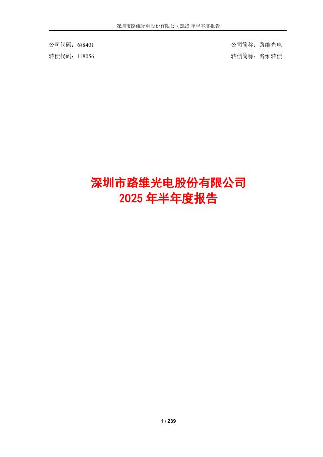 118056-路维光电：路维光电2025年半年度报告