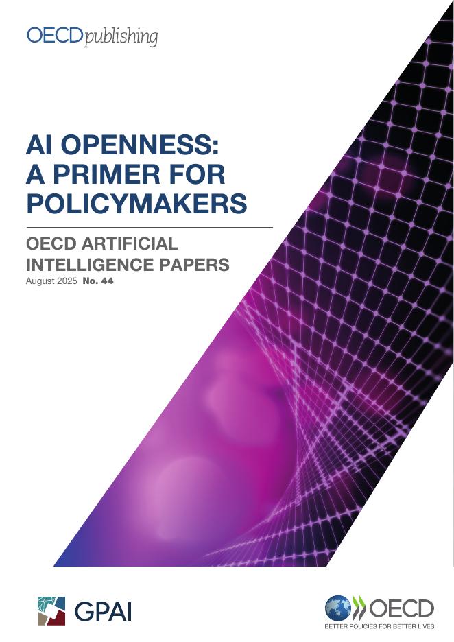 OECD经合组织：2025年人工智能开放性：政策制定者指南报告（英文版）海报