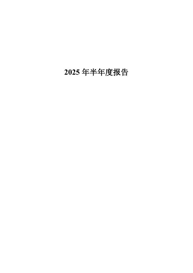 600028-中国石化：中国石化2025年半年度报告