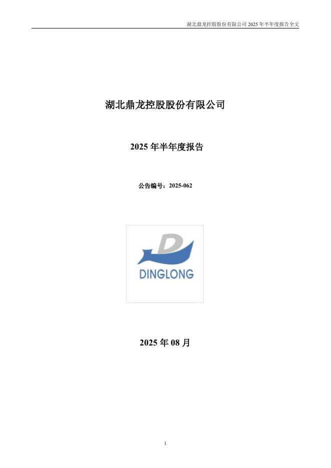 300054-鼎龙股份：2025年半年度报告