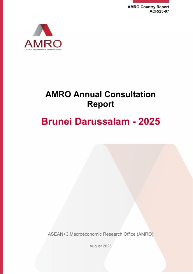 AMRO：2025年文莱年度咨询报告（英文版）