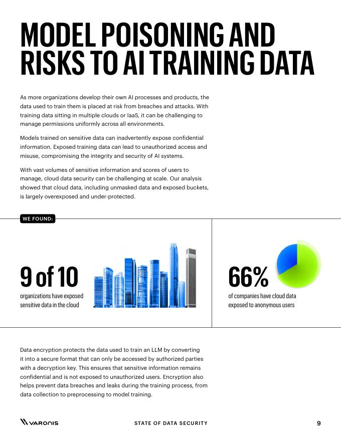 Varonis：2025年数据安全状况报告：量化人工智能对数据风险的影响（英文版）_第9页