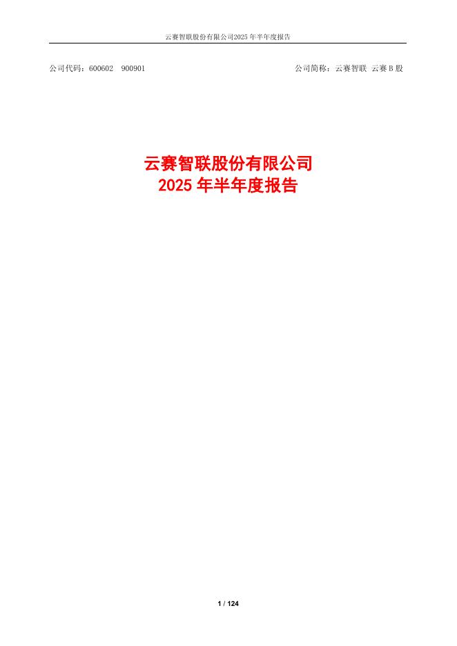 600602-云赛智联：云赛智联2025年半年度报告