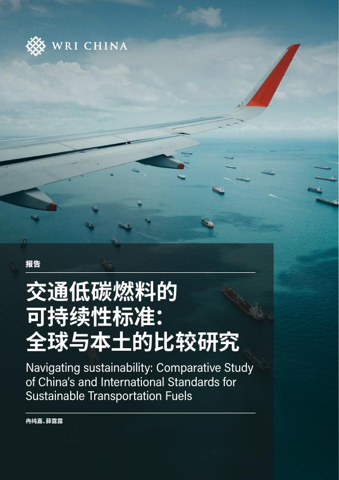 WRI：2025年交通低碳燃料的可持续性标准：全球与本土的比较研究报告海报
