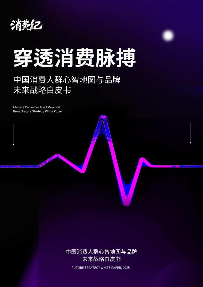 消费纪：2025年中国消费人群心智地图与品牌未来战略白皮书海报