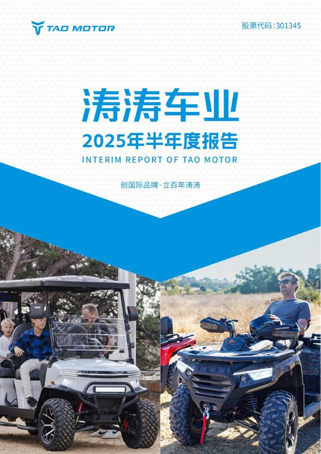 301345-涛涛车业：2025年半年度报告