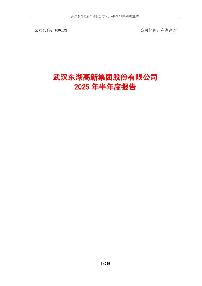 600133-东湖高新：2025年半年度报告