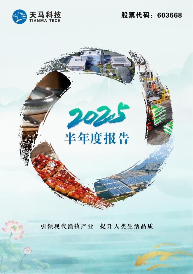 603668-天马科技：天马科技2025年半年度报告全文