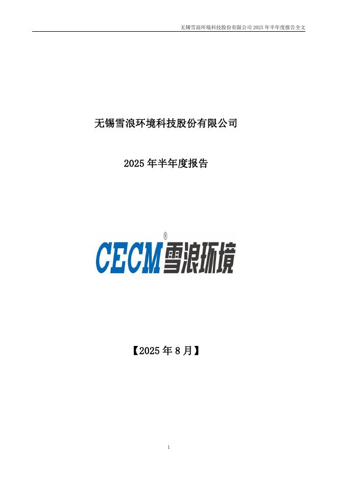 300385-雪浪环境：2025年半年度报告