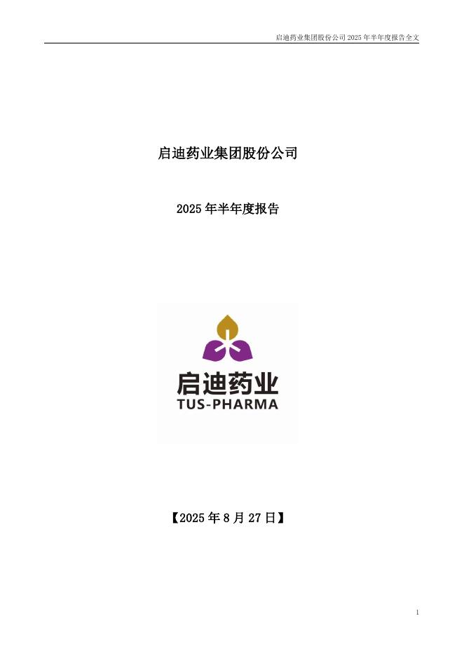 000590-启迪药业：2025年半年度报告