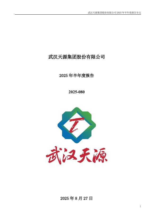 301127-武汉天源：2025年半年度报告