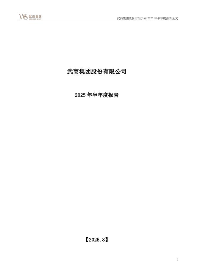 000501-武商集团：2025年半年度报告