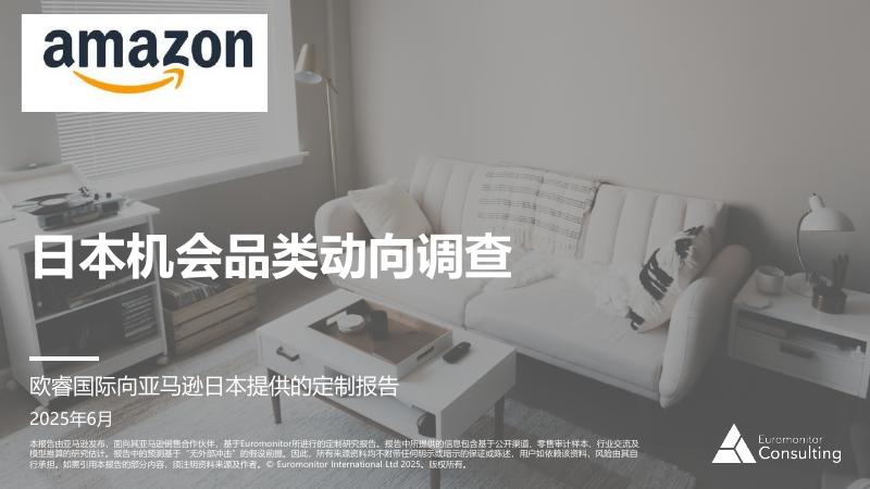 亚马逊全球开店：2025年日本机会品类动向调查报告-美容工具类产品海报