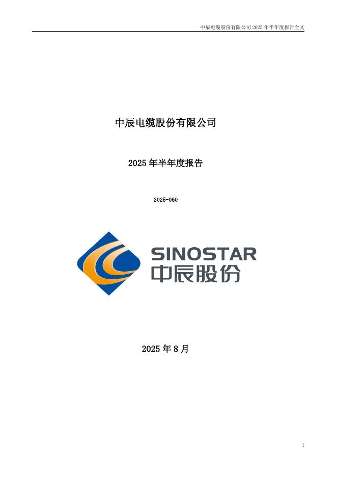 300933-中辰股份：2025年半年度报告