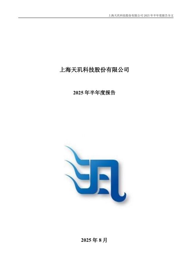 300245-天玑科技：2025年半年度报告
