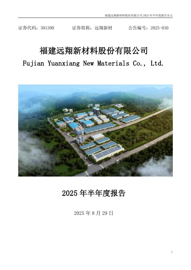 301300-远翔新材：2025年半年度报告