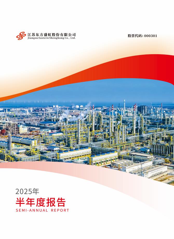 000301-东方盛虹：2025年半年度报告