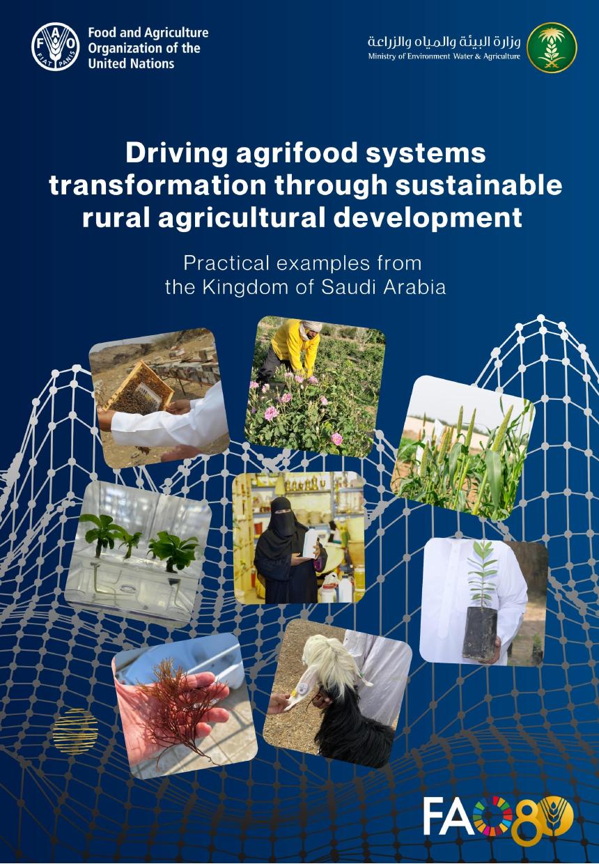FAO联合国粮农组织：2025年通过可持续的农村农业发展推动农业食品系统的转型报告（英文版）海报