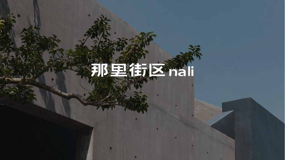 那里街区品牌手册海报