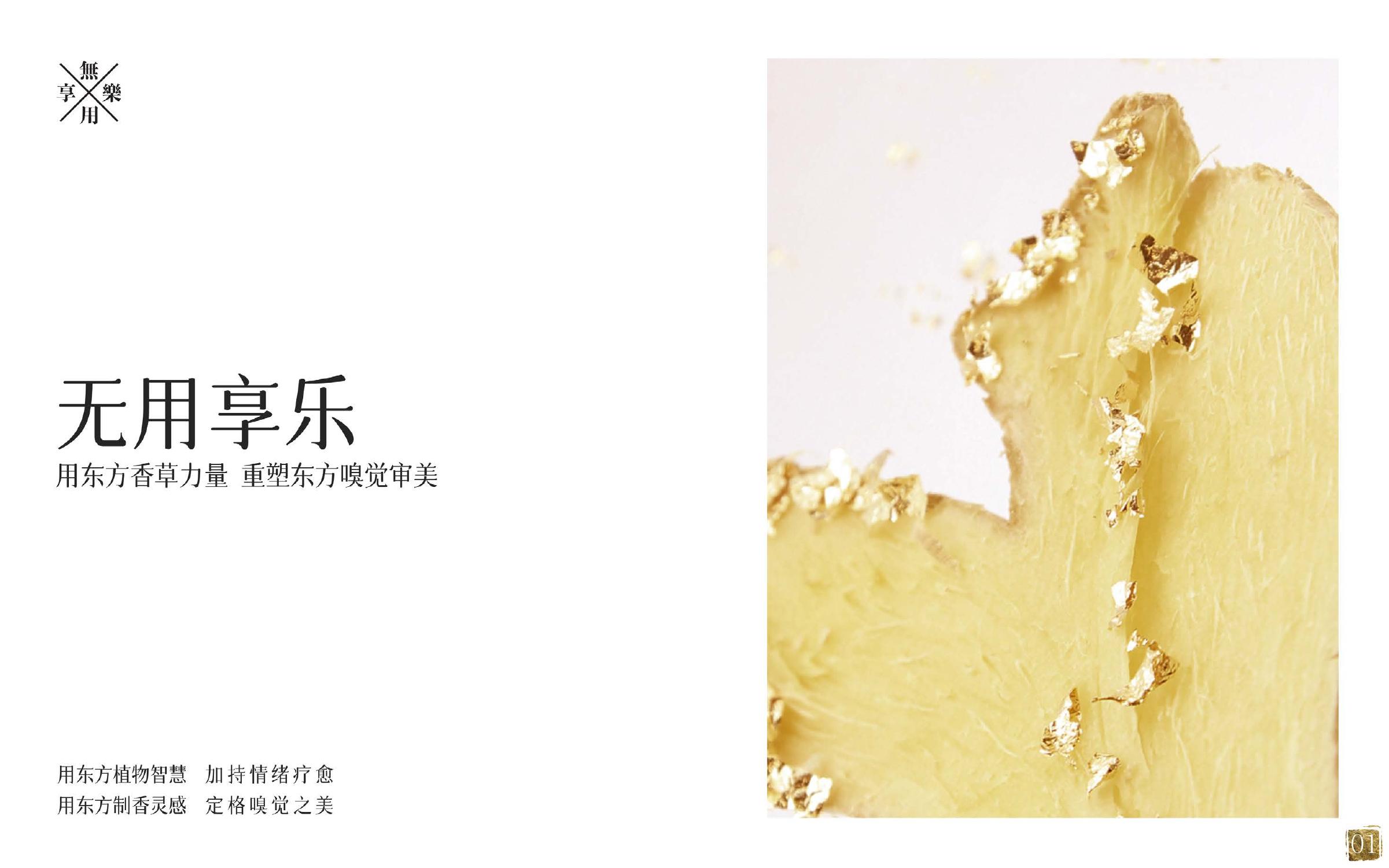 无用享乐品牌手册海报