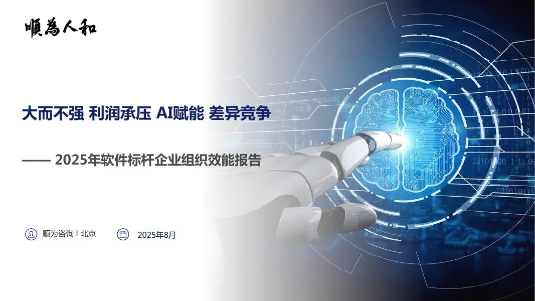 顺为咨询：2025年软件标杆企业组织效能报告海报