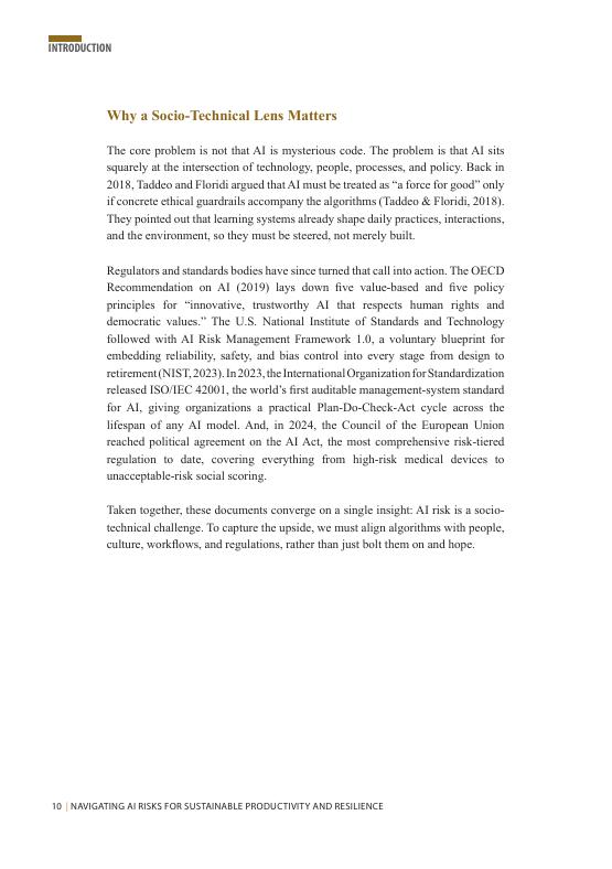 亚洲生产力组织（APO）：2025年导航人工智能风险以实现可持续生产力和韧性报告（英文版）_第10页
