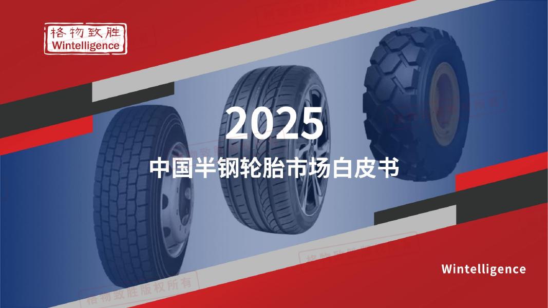 格物致胜：2025年中国半钢轮胎市场白皮书海报