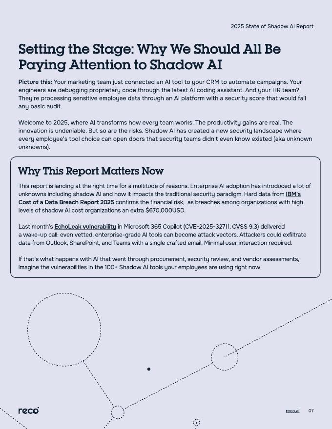 Reco：2025年影子人工智能（AI）状况报告（英文版）_第7页
