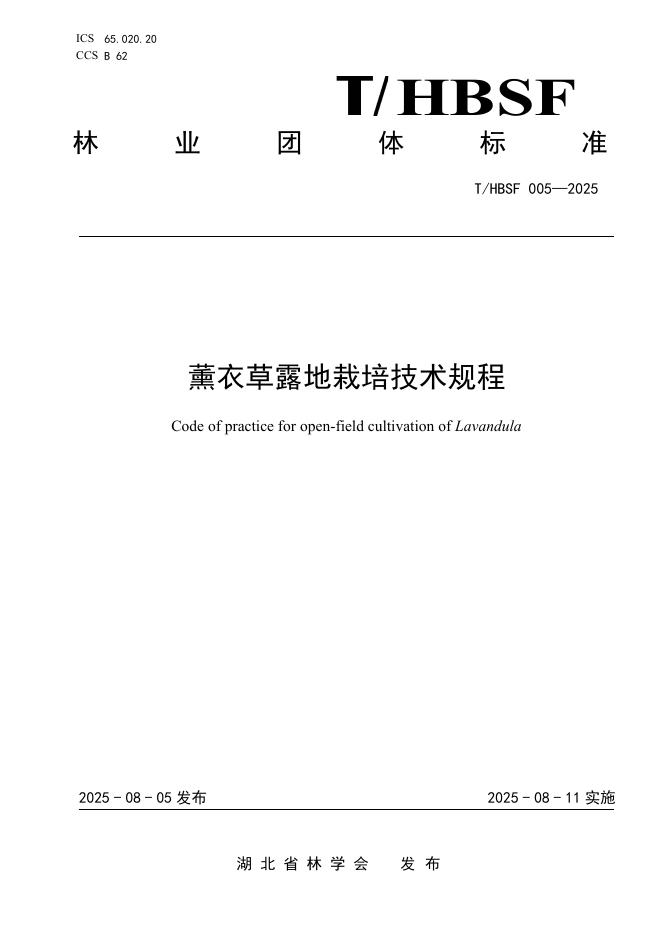 T/HBSF 005-2025 薰衣草露地栽培技术规程