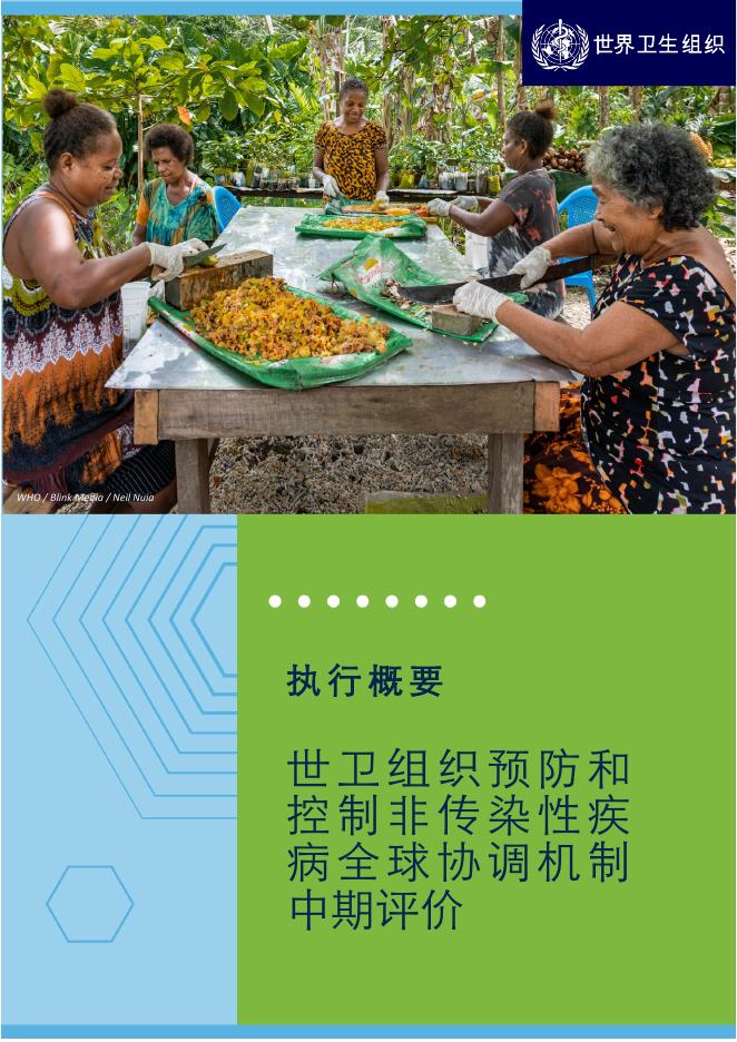 WHO世界卫生组织：2025年世卫组织预防和控制非传染性疾病全球协调机制中期评价-执行概要报告海报