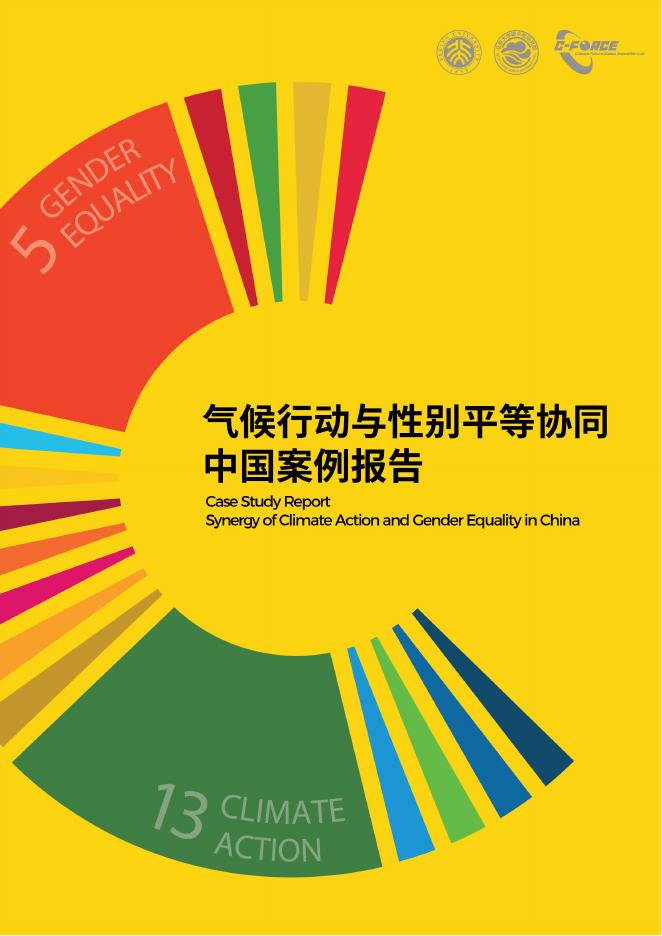 C Force：2025年气候行动与性别平等协同中国案例报告
